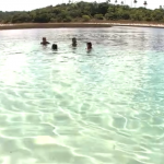 Lagoas de água doce do litoral norte da Bahia. Um paraíso quase desconhecido.