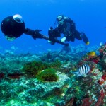 Google mapeia mundo subaquático em Fernando de Noronha