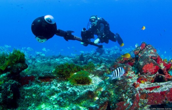 Google mapeia mundo subaquático em Fernando de Noronha